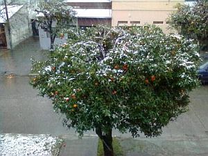 immagine articolo 18377