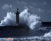 immagine articolo immagine articolo