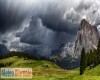 immagine articolo immagine articolo