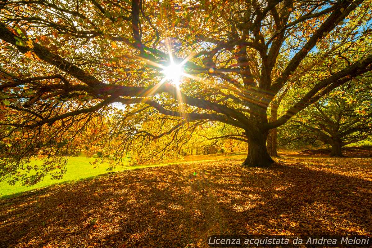 Meteo Frosinone: domani nuvoloso con rovesci, poi ventoso a tratti Meteo Frosinone: domani nuvoloso con rovesci, poi ventoso a tratti
