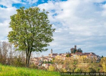 meteo-alessandria:-domani-nuvoloso-con-pioggia,-seguito-da-foschia