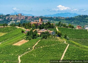meteo-torino-prossimi-giorni:-sole-e-temperature-in-aumento
