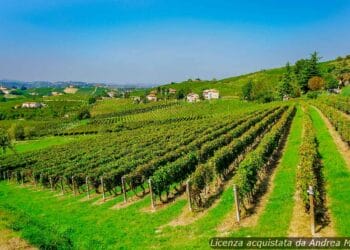 meteo-asti:-nubi-sparse-oggi,-poi-nuvoloso-con-foschia-nei-prossimi-giorni