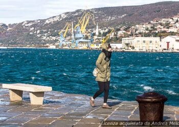 meteo-trieste:-nuvoloso-con-pioviggine,-poi-coperto-con-pioggia-nei-prossimi-giorni