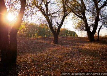 meteo-vibo-valentia:-da-poco-nuvoloso-a-molto-nuvoloso-con-piovaschi,-ventoso-a-tratti