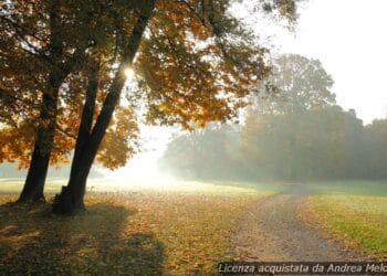 meteo-crotone:-nubi-sparse-oggi,-poi-nuvoloso-con-piovaschi-nei-prossimi-giorni