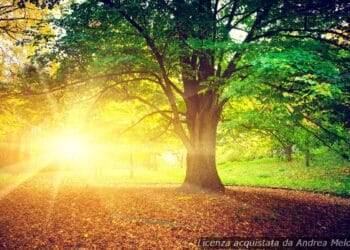 meteo-vibo-valentia:-giorni-successivi-con-nuvole,-piogge-e-vento-intermittente