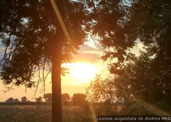 meteo-vercelli:-sereno-domani,-seguito-da-foschia-leggera