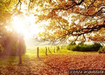 meteo-vercelli:-domani-sereno,-poi-foschia-leggera