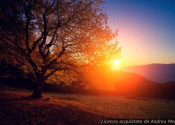 meteo-reggio-di-calabria:-giorni-ventosi-e-sereni-in-arrivo