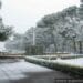 meteo-rimini:-sereno-e-ventoso-oggi,-previsioni-per-i-prossimi-giorni
