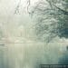 meteo-monza:-nebbia-persistente-nei-prossimi-giorni