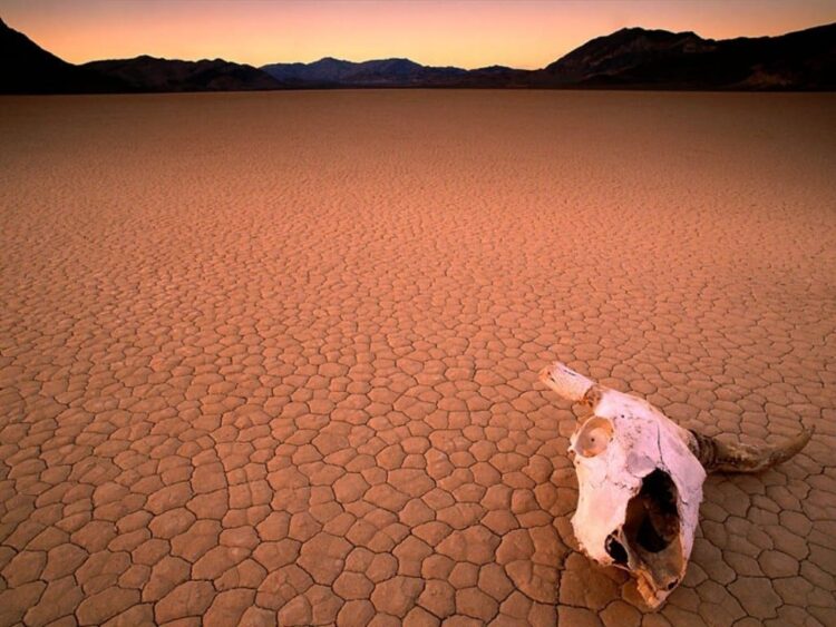 deserto