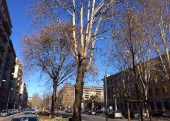 La grigia Milano con cielo color cobalto in un giorno di fohn invernale.