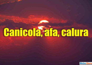 canicola