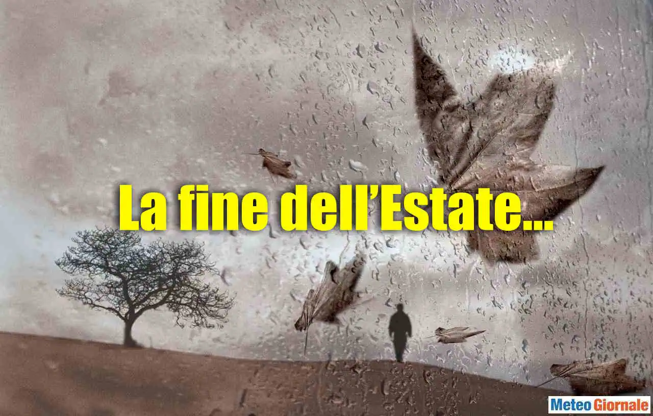 fine-estate