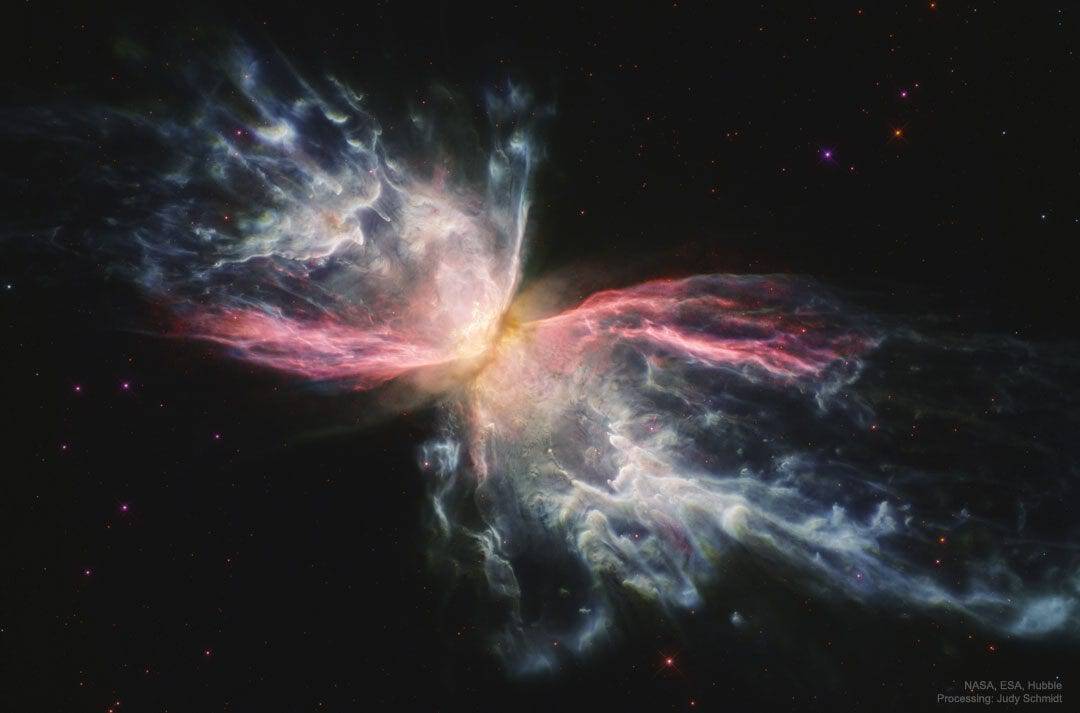 NEBULOSA FARFALLA vista con il telescopio: lo zoom video è spettacolare