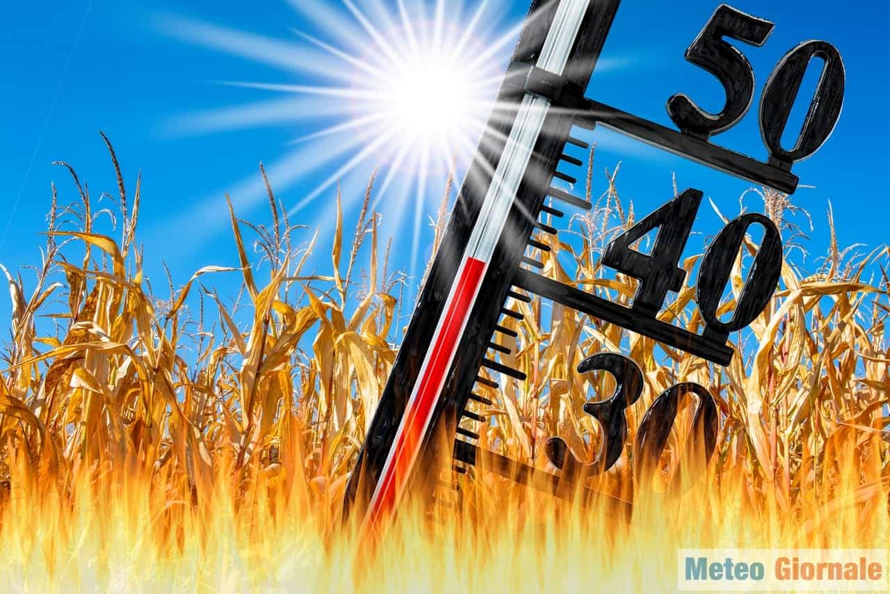 Caldo soffocante in arrivo con picchi oltre 40 gradi. Umidità elevata