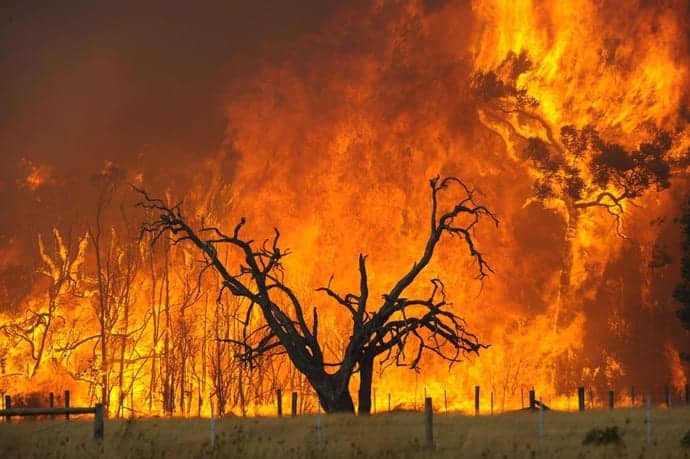 Caldo soffocante, meteo estremo d’Africa con incendi su molte regioni
