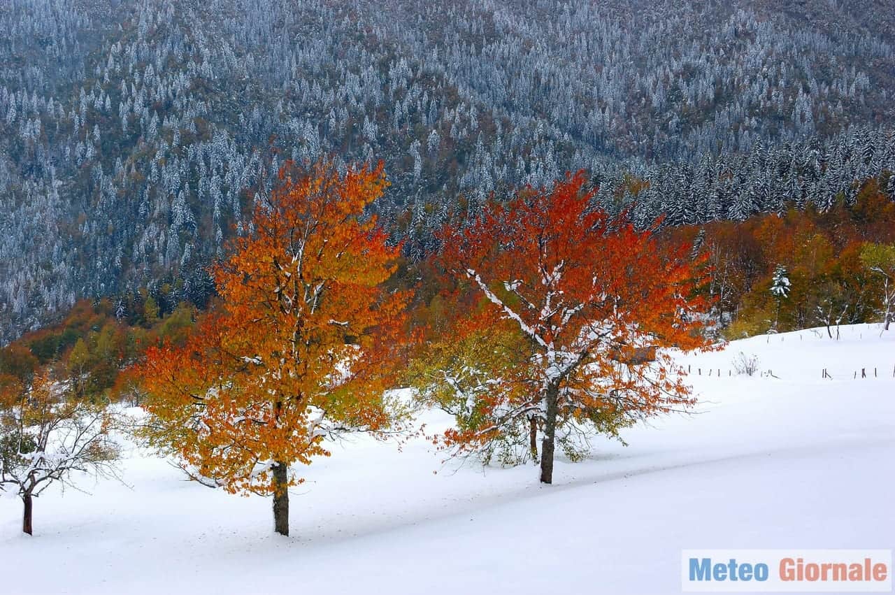 Subito FREDDO, subito NEVE. Incredibile inizio d'Autunno