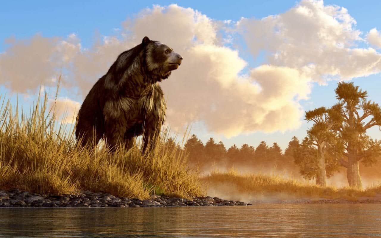 Incredibile in Siberia: trovato Orso delle Caverne dell'era glaciale