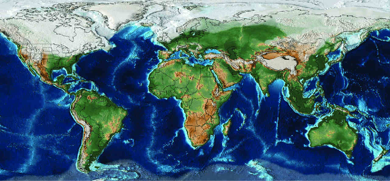 Quanto diminuirono le temperature durante l'ultima era glaciale?