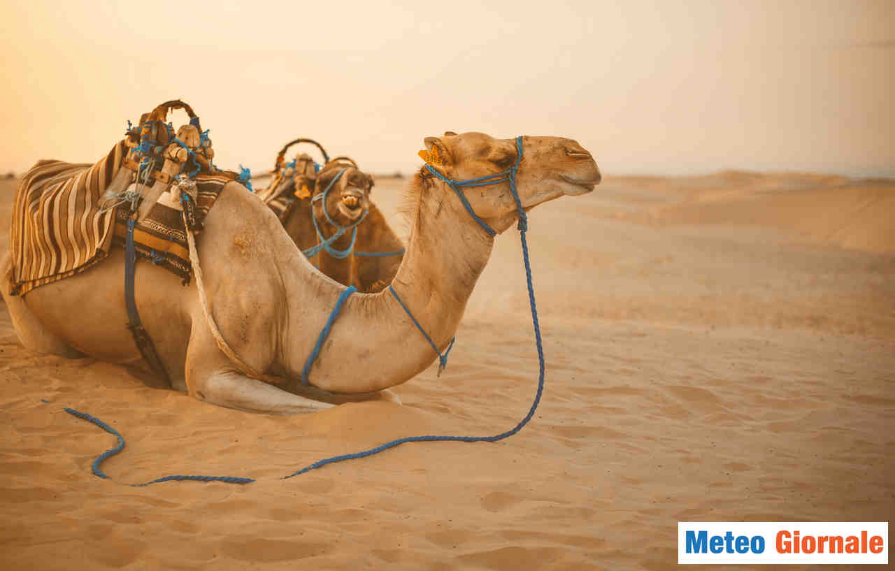 Meteo con CALDA Ottobrata, immancabile la prossima settimana