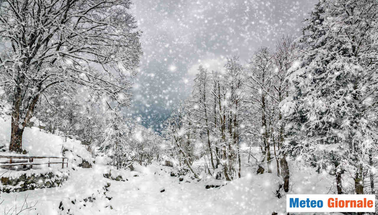 NEVE in arrivo, copiosa anche in Appennino. Ecco tutti i dettagli