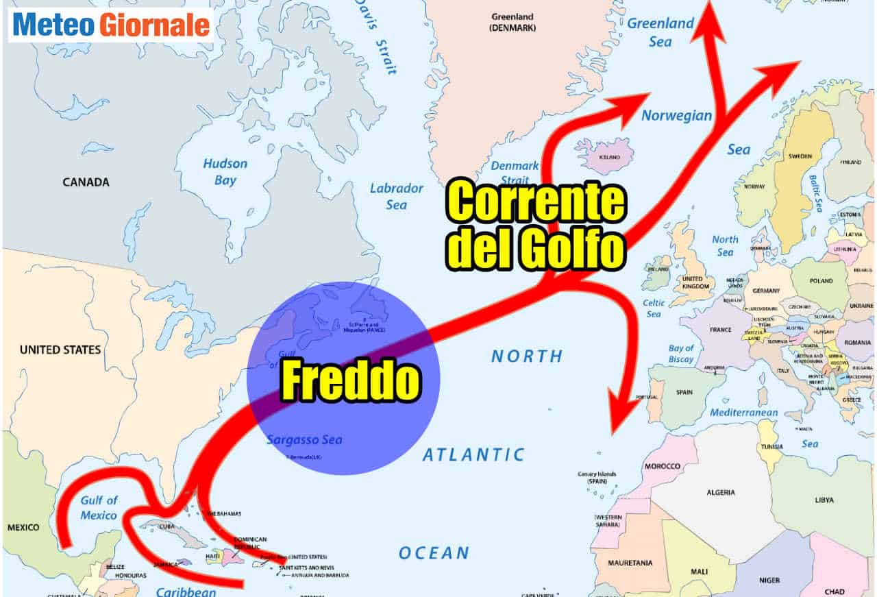 CORRENTE del GOLFO, crolla la temperatura superficiale in una settimana. Influenza meteo
