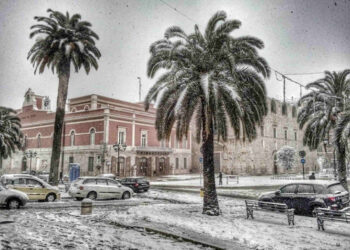 Fantastica ed eloquente foto in prossimità di Bari (Corato), 30 dicembre 2014.