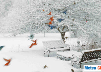 La neve si spingerà ancora a quote molto basse