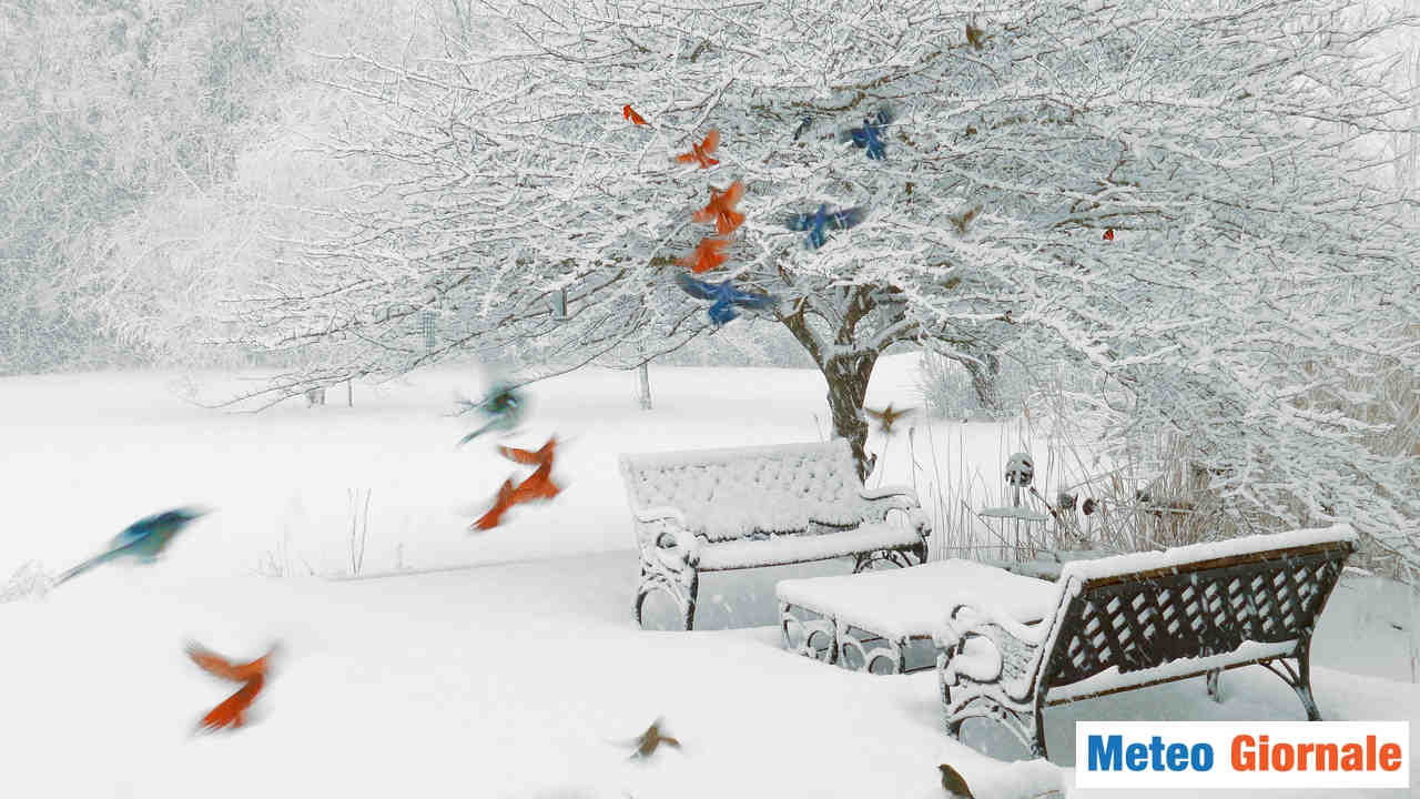 Meteo invernale, arriva altra NEVE per Capodanno. Gli ultimi aggiornamenti
