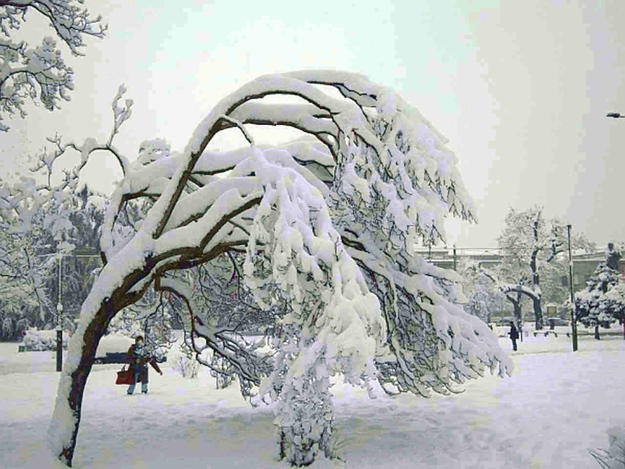 La neve a Milano dell'Epifania del 2009