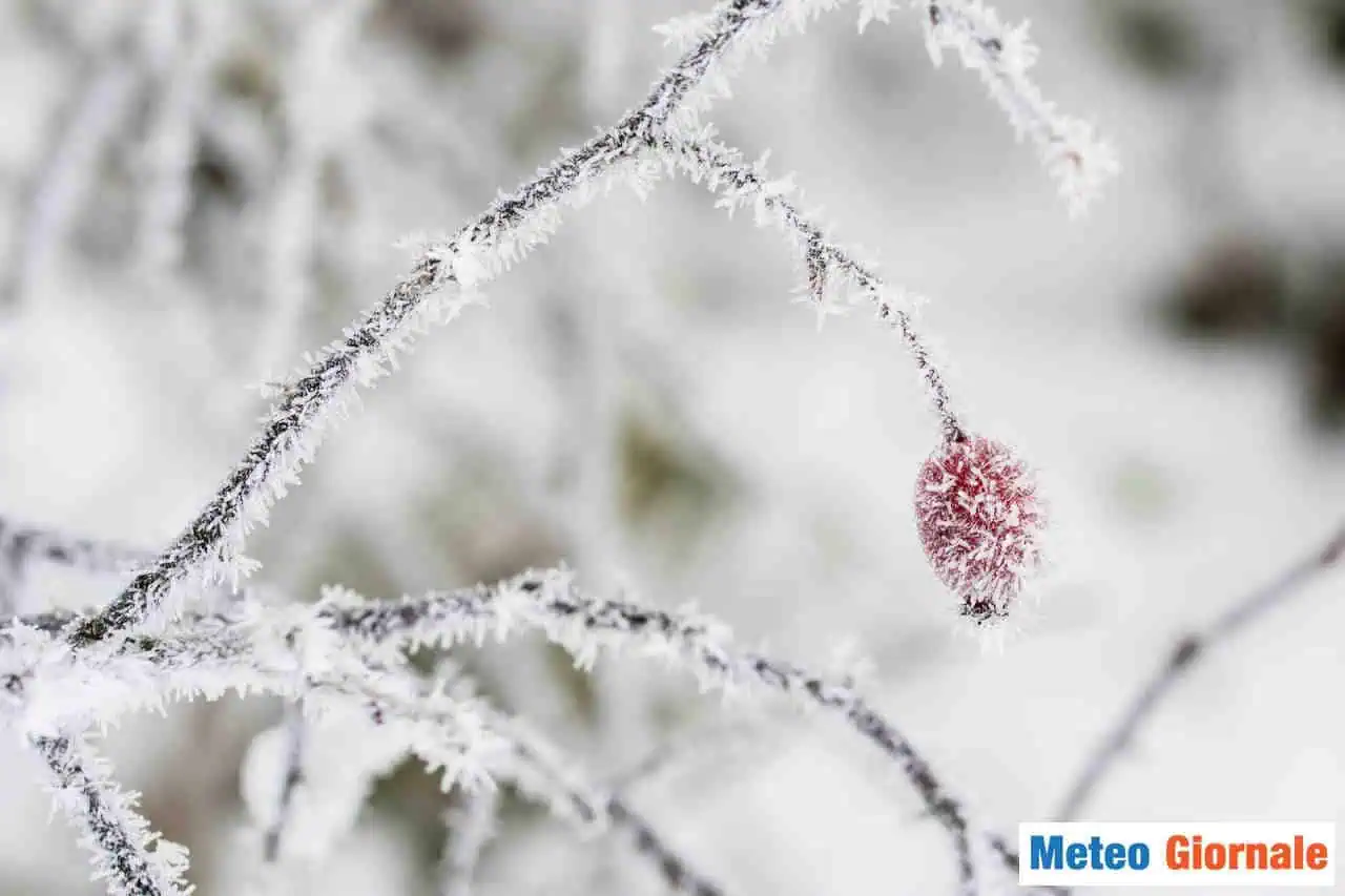 Non solo neve nel weekend d'inizio primavera, ma anche brinate tardive
