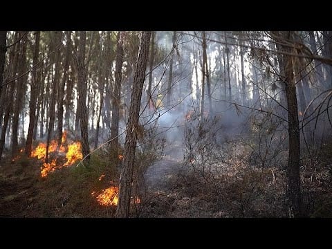 Centro Meteo Europeo. Video