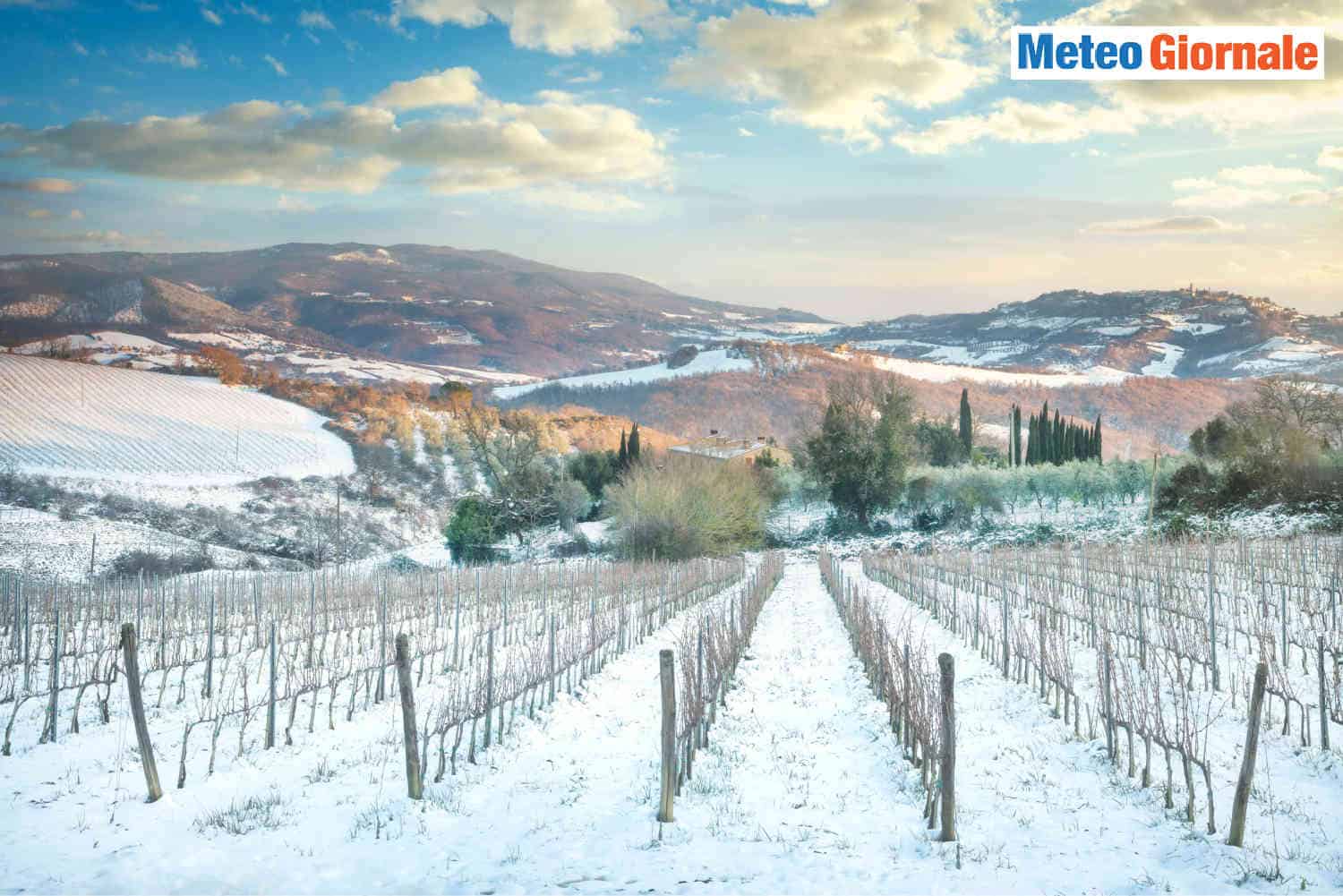 Meteo Francia, record di gelate da Piccola Era Glaciale: vigneti di valore devastati