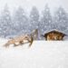 Tormente di neve in arrivo sulle Alpi