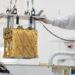 Moxie, lo strumento installato a bordo del rover Perseverance per la produzione d'ossigeno