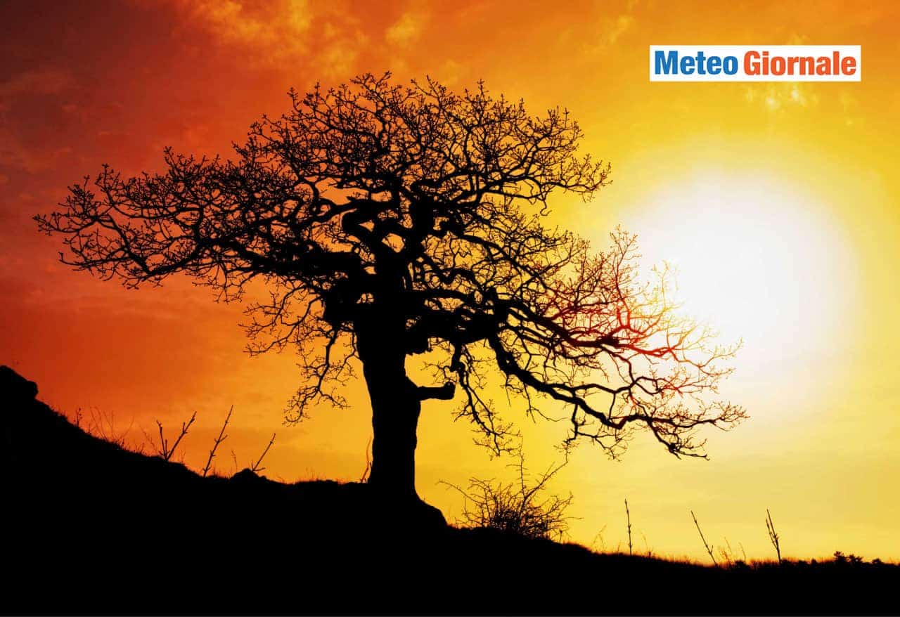 Meteo Italia al 14 giugno: ANTICICLONE, ecco l'Estate