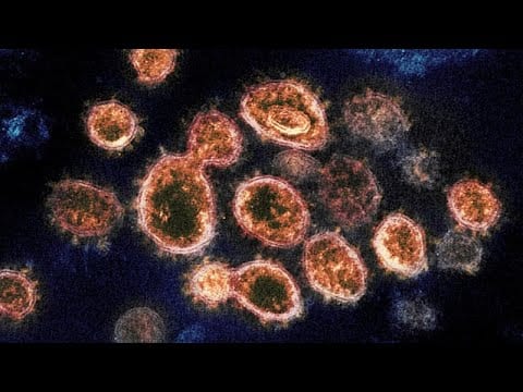 Lotta alla pandemia. Le mutazioni si combattono in laboratorio