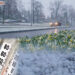meteo freddo aprile