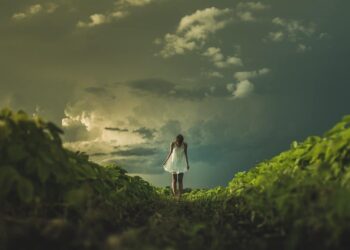 primavera