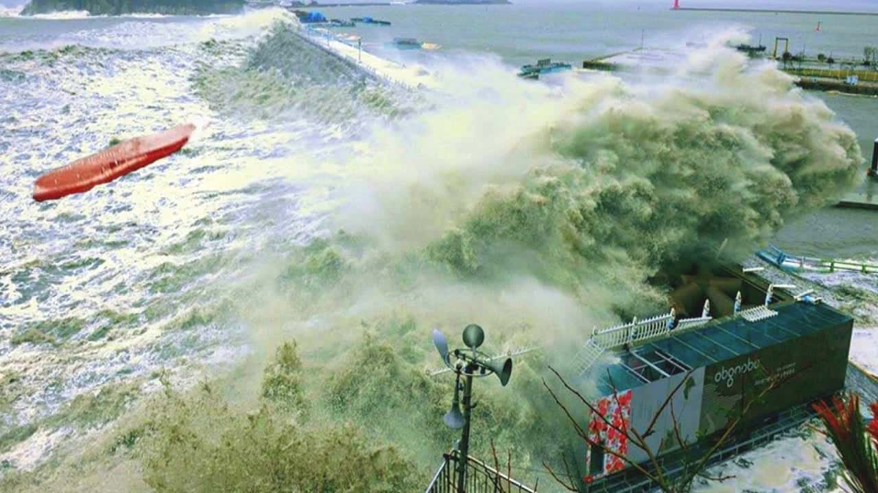 Terremoto in Giappone. Allerta tsunami. Video