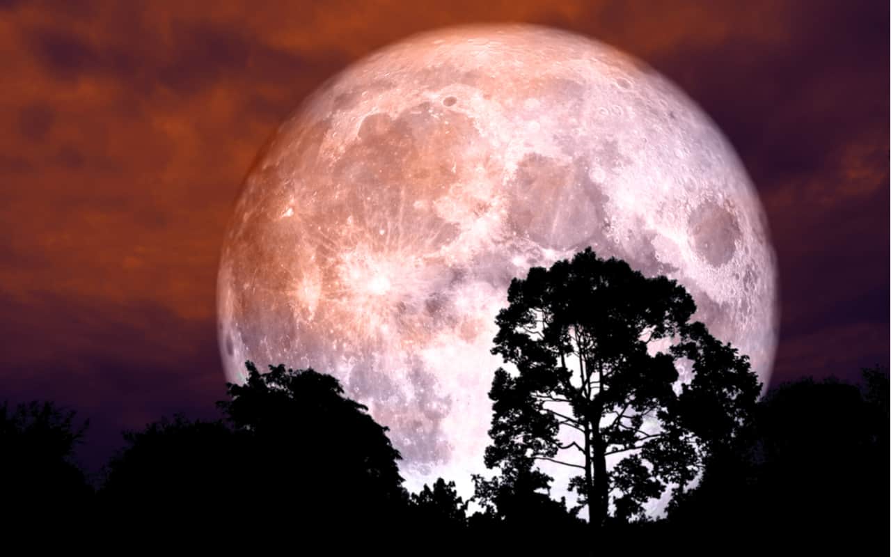 Strawberry Moon, stanotte avremo la Super Luna color fragola. Poi niente per un anno