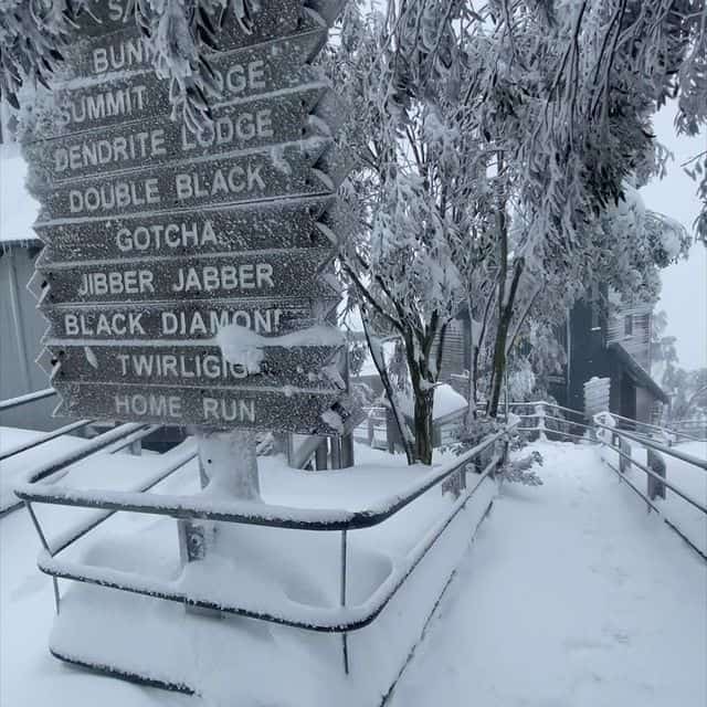 Meteo METEO dall’Australia sotto fortissime nevicate Gran neve