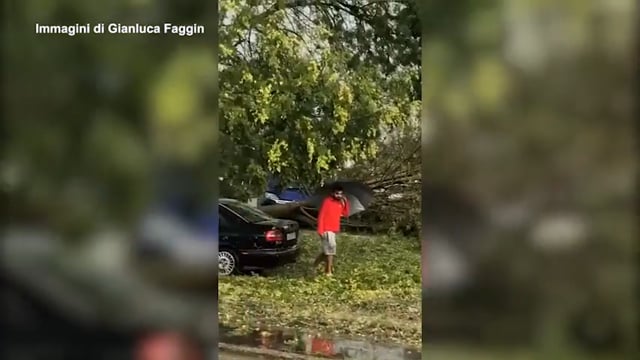 Grandine devastante tra Lombardia ed Emilia. Video Meteo