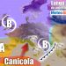 meteo-luglio