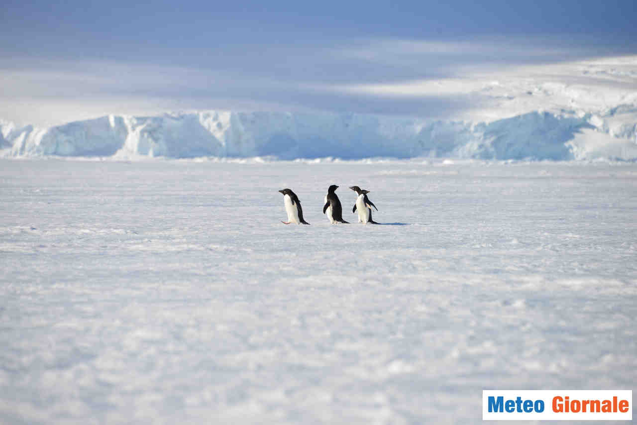 METEO, un INVERNO di GELO POLARE. Temperature da RECORD