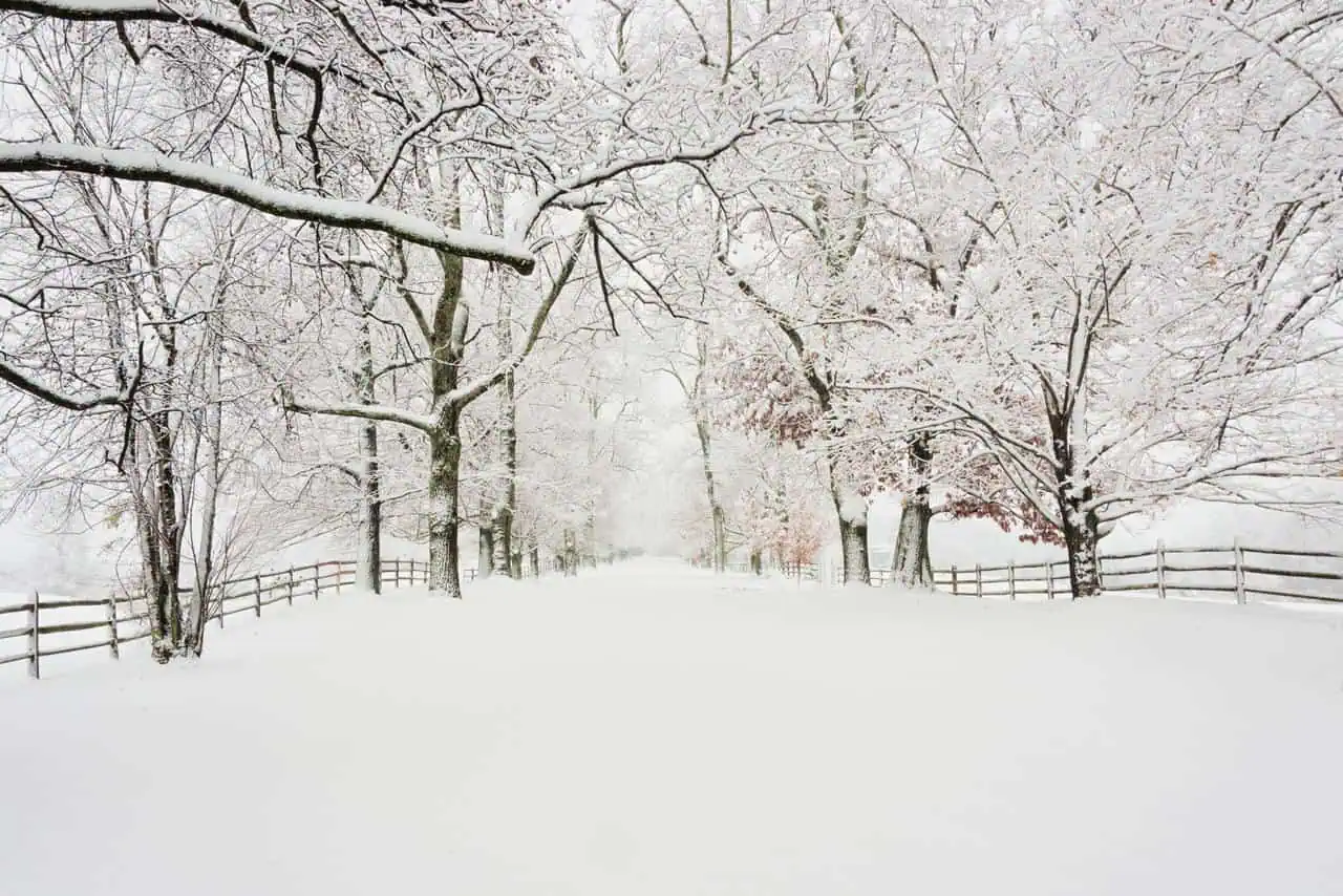 La neve ad ottobre è un evento quasi più unico che raro