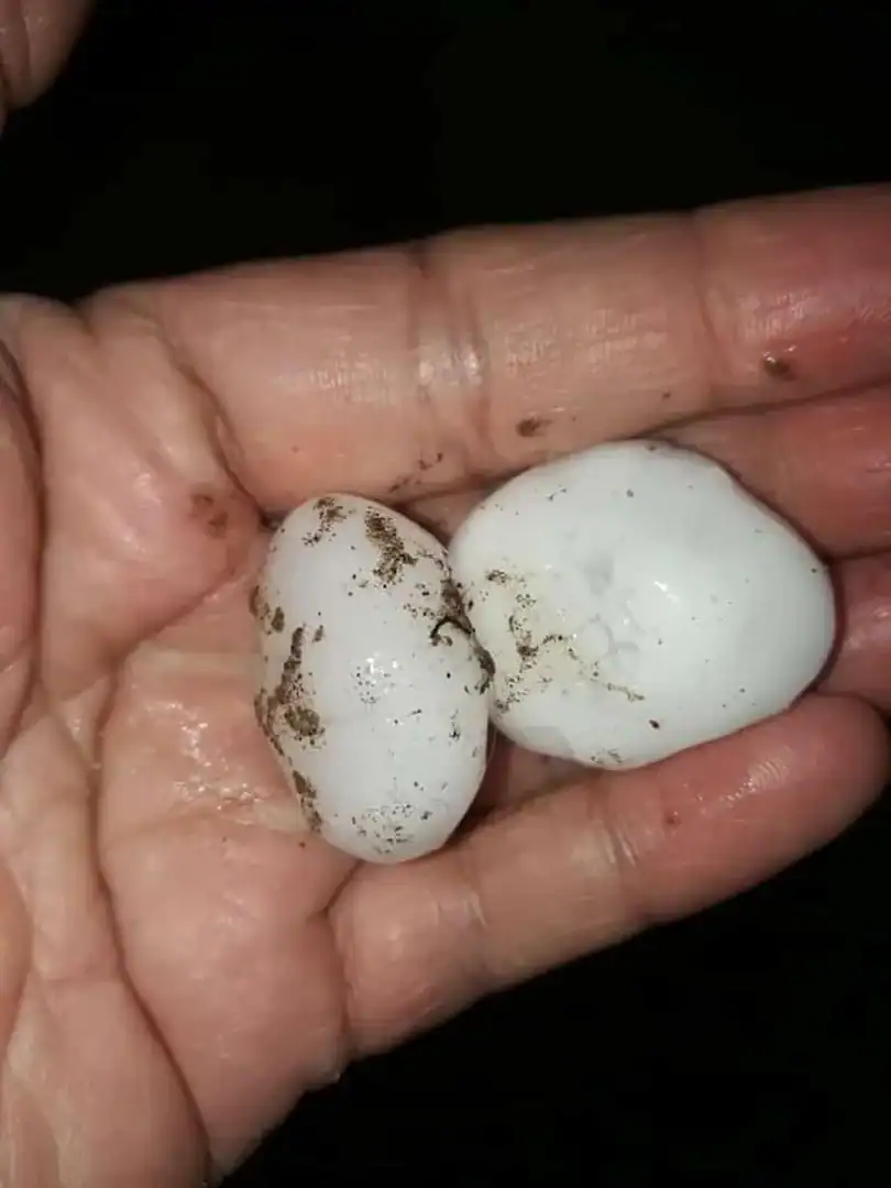ARGENTINA, meteo estremo mai visto prima